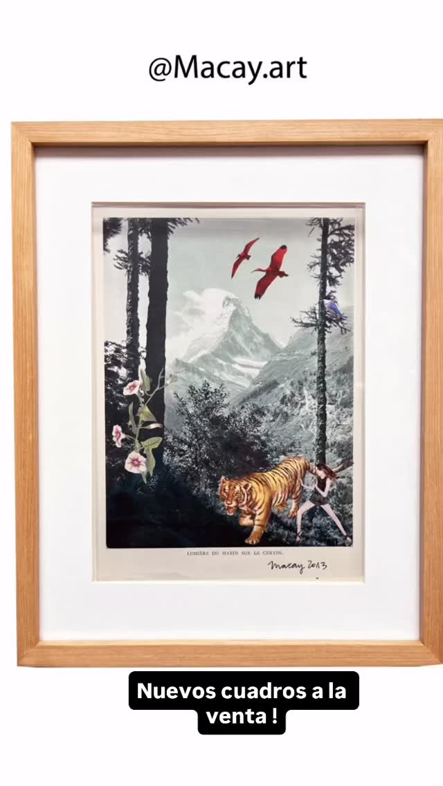 ✂️🌿🌼Nuevos cuadros a la venta!
#cutandpaste #paperart #collageart #collagechile #macayart