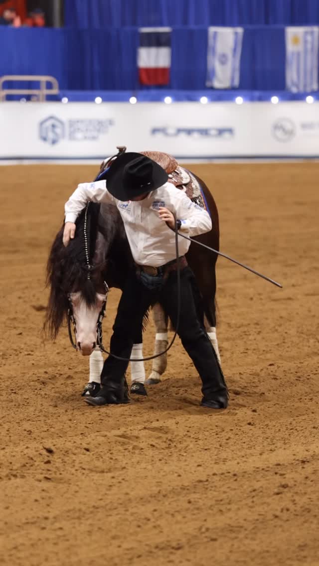๐ฆ The magic of unicornsโฆ.
๐ @goldencoinsstallion + @priceperformancehorses = ๐ฅน
๐บ๐ธ A @north_american_reining_stakes eligible sire
NARS Enroll your Golden Coins foals
www.NorthAmericanReiningStakes.com
#horsesofinstagram #reining #horselove #horseriding