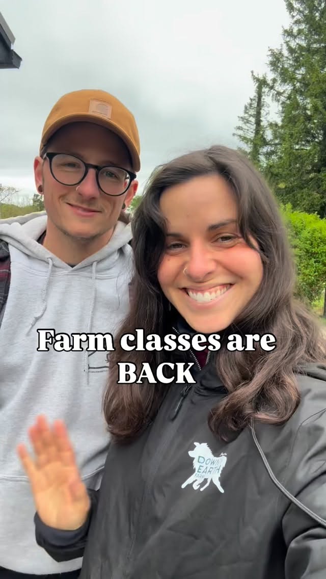 Our next set of classes are THIS SUNDAY!
Farm Dog Drop-In classes are the perfect way to work on real-life skills with your dog, without the pressure of a long-term commitment. Drop in when it works for you and leave with practical tools you can use the very next day.
✨ Here is what we work on:
Recall around distractions
Loose leash walking
Greeting strangers politely
Ignoring livestock
Building confidence in a new space
And whatever your dog needs most that day!
✨ We also offer Rally-O — a sport-based class where you and your dog navigate a course together, building teamwork, focus, and some serious fun along the way.
THIS SUNDAY
Life-Skills class: 9:30am-10:30am
Rally-o: 11:00am-12:00pm
Register on my website!
https://www.downtoearthdoglady.com/classes
📍 Phoenixville, PA | downtoearthdoglady.com