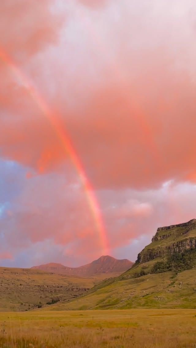 Some mornings remind you just how special this place truly is.
We woke to the most spectacular rainbow stretching across the mountains, lighting up the valley and reminding us of the pure magic that surrounds us here at Giants Cup Wilderness Reserve. Clean air, endless views, and moments like these that make you stop and simply take it all in.
There is something truly glorious about this place.
www.giantscup.co.za
#drakensbergmountains #beautifulplaces #beautifulsouthafrica #beautifuldestinations #naturelovers