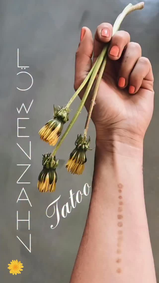 Löwenzahn Tattoo
Das der Saft vom Löwenzahn oft Flecken auf unserer Kleidung hinterlässt wissen viele schon- aber warum nicht nutzen 😁
Der ungiftige, frische Saft färbt deine Haut fast wie Henna.
Ich hab es an verschiedenen Stellen probiert und es klappt nicht überall gleich gut aber man kann ja ein bisschen herum probieren 😁
Bei sonnigem Wetter klappt es am besten. Bei den Fingern hat man weniger gesehen dafür hat es am Unterarm wunderbar geklappt!
Bei sehr empfindlichen Haut empfehle ich es vorher an nur einer Stelle aus zu probieren. Der Saft ist aber absolut ungiftig und den Rest vom Stiel oder die Blüte kannst du dann gleich weg snacken für die extra Portion Bitterstoffe!
Macht aufjedenfall Spaß und ist nach einigen Tagen wieder verschwunden 🤍
Viel Freude beim probieren!
Deine Meli mint
🤍
#tatoo
#nature #intothewild #löwenzahn #dandelion