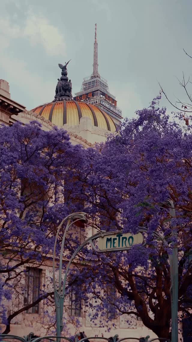 What makes this time of year so special are the jacarandas blooming across Mexico City, even more so when they frame the heart of the Centro Histórico.
Mexico City reveals itself through contrasts — color and culture, history and energy, tradition and contemporary life, all layered into one.
A curated Mexico City journey is coming in 2026 — a deeper way to explore the city through its culture, gastronomy, and local perspective.
�Visit marottatravel.ca to stay updated and be the first to receive the full itinerary once it’s released.
Stay tuned!