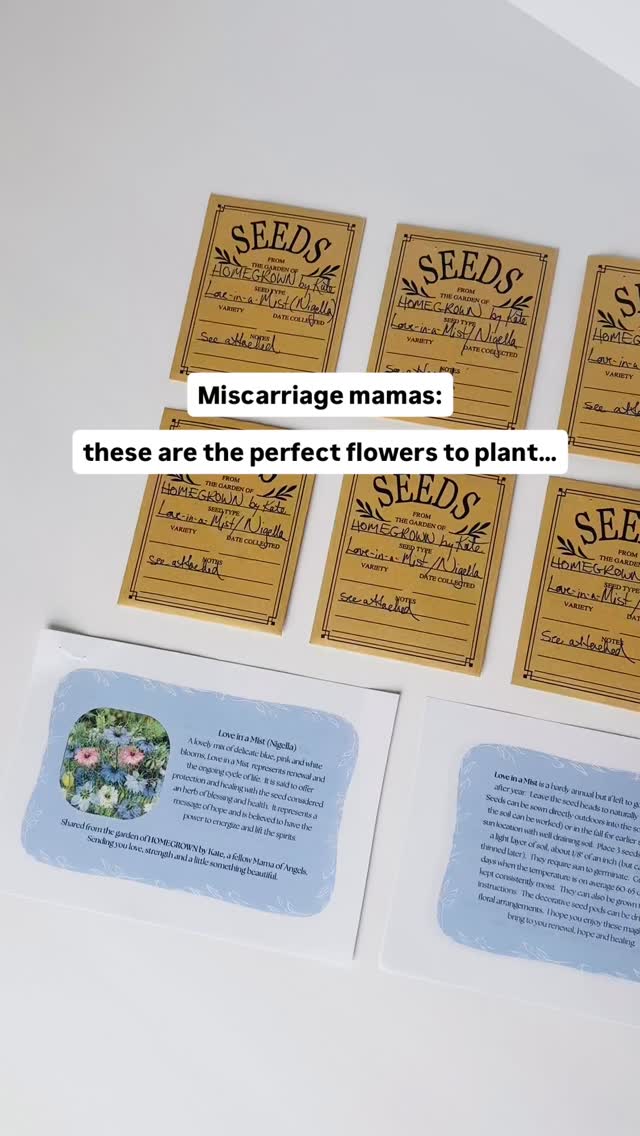 These Love in a Mist seed packets donated by @homegrownbykate (a fellow mama of angels) are the PERFECT addition to the Joy Bombs! ๐๐ธ๐ฉต
.
Theyโll be in the 50 care packages Iโm donating to @ascensionwisc Columbia St. Maryโs Hospital Milwaukee on Wednesday ๐ฉ๐ป๐ผ๐ผ๐ฅ
.
Kate is truly a plant expert๐ฉ๐ผโ๐พ Not only did she harvest the seeds from her OWN garden, she thoughtfully selected Love in a Mist because of the plantโs symbolism. Each packet comes with a note detailing the plantโs many propertiesโฆ
โจ delicate blue, pink and white blooms (๐ถ๐ผ๐๐)
โจ represents renewal and the ongoing cycle of life ๐ฑ
โจ offers protection & healing ๐ช๐ผ
โจ promotes blessings and health ๐๐ผ
โจ represents a message of hope ๐ซ
โจ has the power to energize and lift the spirits ๐ง๐ปโโ๏ธ
the hardy annual, if left to go to seed, will come back year after year. The decorative seed pods can be dried and will last for years in a floral arrangements โพ๏ธ๐
Thank you, Kate, for your generosity, thoughtfulness, and creativity. These heartfelt gifts will bring so much comfort and hope year after year to moms and families ๐ค๐ผ๐
Be sure to give her a follow- sheโs a wealth of information on propagation, herbs, perennials & geraniums. She also hosts educational events, does plant design for commercial & residential interiors, and is just the most upbeat and inspiring friend!
.
.
.
.
#miscarriageandpregnancyloss #miscarriagesupport #griefjourney #loveinamist #flowerchild