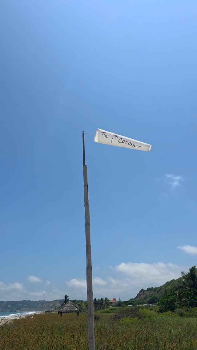 "Sun is shining… when you need a rescue, here I am!"
- The Coconut