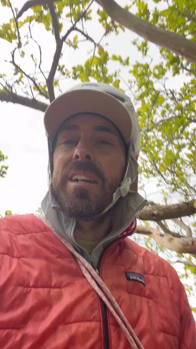 Ok ok. One more abseil / rappel one 😂 This one features the Mammut Alpine Trad sling. A niche bit of kit that I’m not really sure I have a use for, a bit like I’ve ended up not really using my Blue Ice Alpine Runner, although I see quite a few of those at crags these days!
#climbing #rappel #abseil