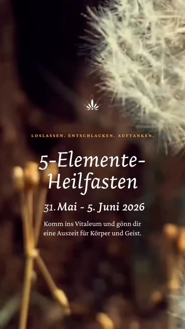 Unser nächster Termin für das 5-Elemente-Heilfasten im @vitaleum_resort:
📅 31. Mai - 5. Juni 2026 | Thüringen
🍃 5 Tage Heilfasten nach den 5 Elementen – entschleunigen, entgiften, regenerieren.
Für alle, die Körper und Geist in Einklang bringen und mit neuer Energie ins neue Jahr starten möchten.
✅ Sanfte Begleitung durch erfahrene Fastenleiter:innen
✅ Yoga, Achtsamkeit & regionale Kräuter
✅ Traumhafte Naturkulisse im @vitaleum_resort
Mehr Infos & Buchung:
🌐 www.5-elemente-heilfasten.de
📞 03647 / 16 33 30
#5elementeheilfasten #heilfasten #fastenretreat #achtsamkeit #fastenzeit