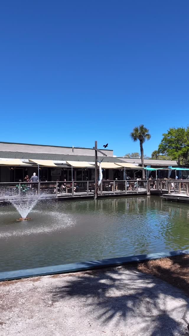 Coligny will never get old. 🤍🌴
From beach days to bike rides, live music to sunset cocktails—this is the kind of lifestyle people move here for. It’s not just a spot on the map, it’s the heartbeat of Hilton Head.
Thinking about calling this place home? I’d love to show you around.
☎️ 843-707-2460
💻 www.shesellsthelowcountry.com
#HiltonHeadRealEstate #TrustedRealtor #LowcountryLiving #colignybeach #RealtorLife