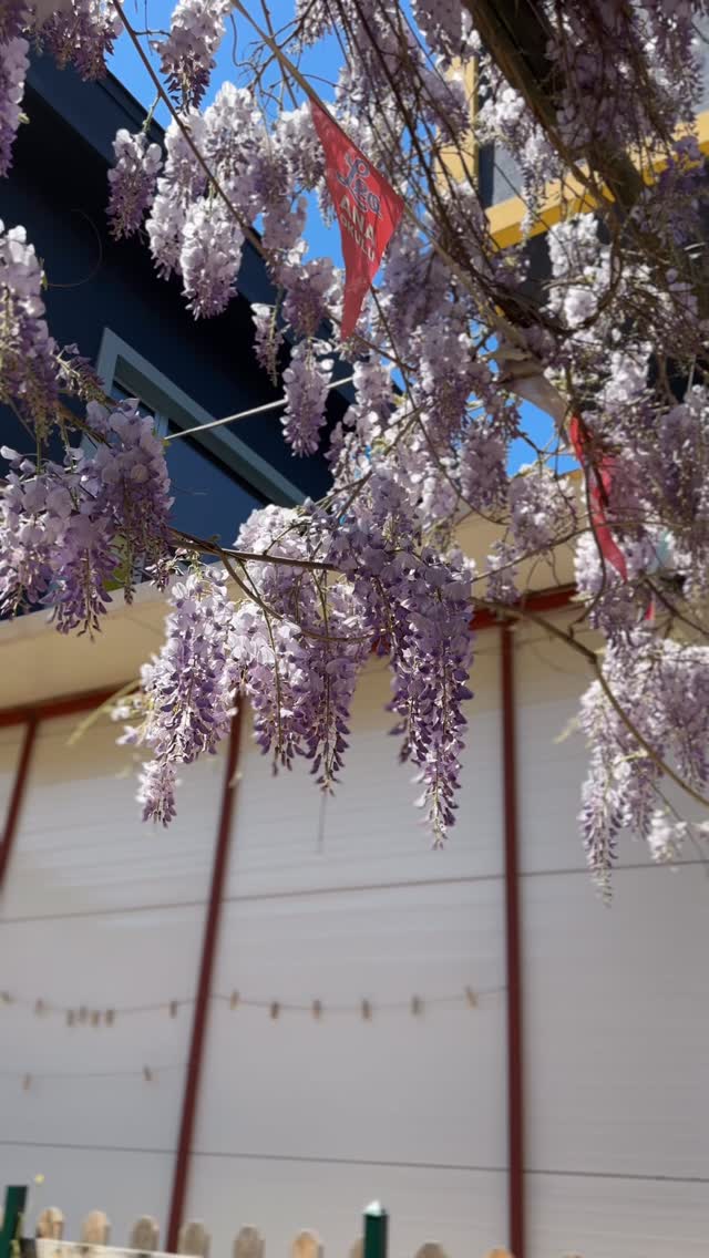 Yes we call it SPRING