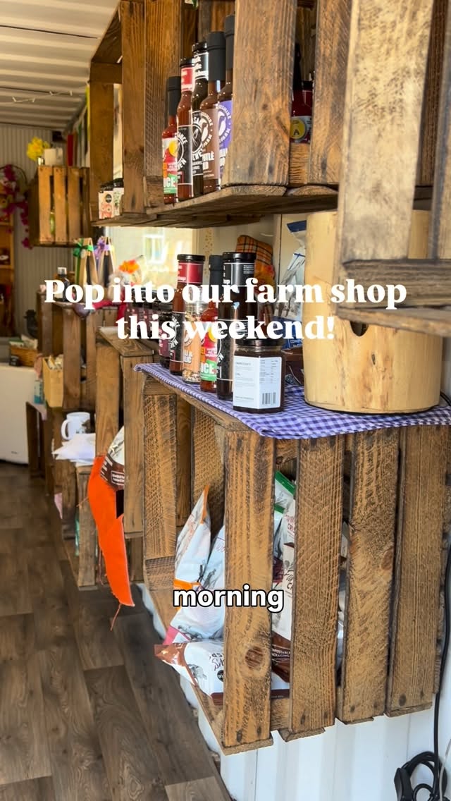 Ice cream weather is here! 🍦☀️☀️☀️
And our little farm shop has been restocked 🤩
Pop down to see us!
#farmshop #shoplocal #lowerhousefarmwales