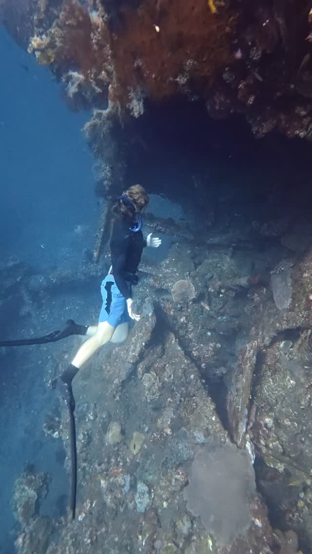 Would you swim through this wreck? 🪸
It’s hard to beat wreck diving and swimthroughs on breath-hold 🫧
📸 @katenewlyn
