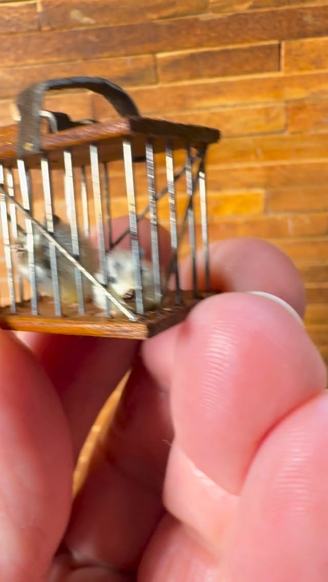 Artisan dollhouse miniature hardwood, metal and leather mouse crate by T. Dudley (2005) is available in my latest estate auction happening now in my eBay store, there's a link in my bio to shop now, bidding on this item on Sunday during the 7pm ET hour. There's also a link in my bio to learn more about Lucy Seiler, the original curator of this collection, and her absolute fascination with small scale mice. She purchased several, commissioned others and was gifted mice minis by friends, family, and artist who knew of her obsession… I mean PASSION for tiny mice. Thanks for taking a look. #mice #miceofinstagram #miniature