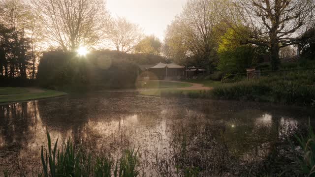 Voor de wereld wakker wordt, is ons park op zijn mooist.
De verhalen van de avond ervoor fluisteren nog tussen de bladeren.
Het licht doet de rest, zachtjes, zonder haast.
Dit is waar jouw verhaal straks ook mag beginnen. 🌿
