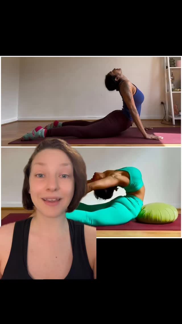 Full on Shrimpy™️ transformation! 🦐🦐🦐
Sangeetha’s started with me in 2024 (at 42) with some flexibility and strength, but her technique wasn’t great and she had some issues holding her back.
But now, at 43, we’ve corrected her technique, broken past those barriers, and is consistently making such beautiful progress!
So just remember, YOU’RE 👏 NOT 👏 TOO 👏 OLD 👏 TO 👏 START 👏 GETTING 👏 BENDY 👏
You just need to put the work in (and work with a *good* coach), and you too can have a Shrimpy transformation!
Safe backbending techniques and problem solving are the name of the game when training with. And The Catie Brier Method: Backbending (my upcoming 4-week ONLINE back flexibility course 🎉) includes the exact problem-solving techniques used to help Sangeetha, plus MUCH more 💯
Training starts June 5th! For more info, comment “TCBM” and little robot Catie will DM you the deets 🤖
I hope to see you there 🤍
Stay Shrimpy, friends 🦐
#trainingwithcatiebrier
#contortiontraining
#shrimparmy
#notyoga