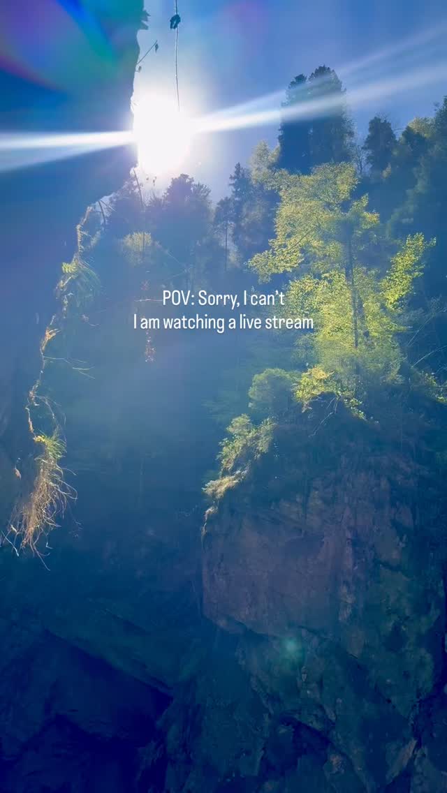 Happy weekend, everyone 💛☀️
Euch allen ein schönes Wochenende! ☀️💛
Eure Nina
*
#achtsamkeit #mindfulliving #slowliving #selbstfürsorge #naturelovers