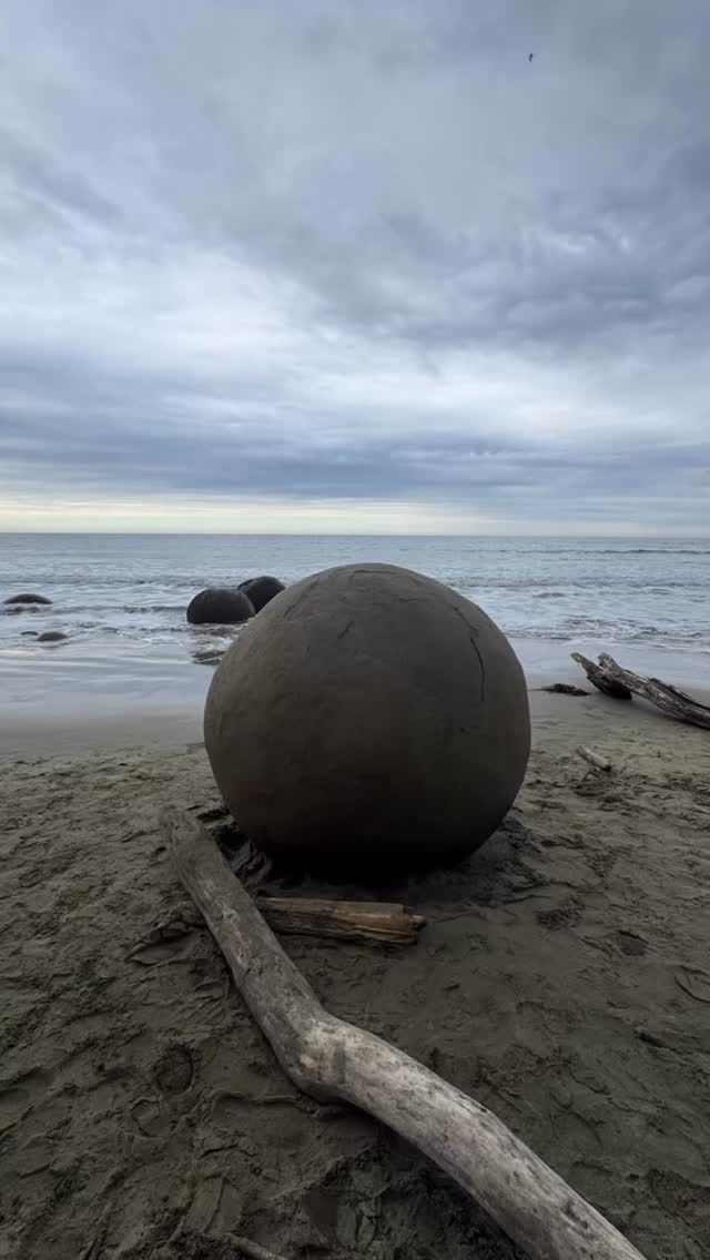 Unique tour of petrified dragons eggs found off coast of New Zealand. 😉
