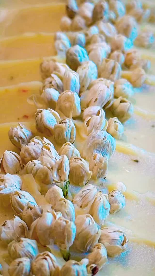 ✨🥥🍋🌴🌺☀️🧼 Happy Wednesday from @apothecary.addict — Today’s Feature: The Top-Selling & Beloved “Tropical Lime Blossom Coconut Bar” ☀️🌺🌴🍋🥥✨
One of my ✨ABSOLUTE✨ favorite soap recipes to make…and one of the most unique in my collection for its extraordinary ingredients! 🇧🇷 This bar truly fills the air with the scent of summer as it comes to life — bright lime zest, creamy coconut, lush blossoms, and tropical sunshine in every swirl. 🌞🍈🌸
Watch this reel as I craft it by hand: close-ups of rich, skin-loving Brazilian butters and oils… fresh hand-zested lime… and the finishing touch of placing each delicate jasmine bud on top one by one. 😊🤍🌼
Made with an indulgent blend of some of Brazil’s most treasured botanicals:
🥥 Brazilian Cupuaçu Butter – creamy, deeply emollient, and soothing
🌴 Brazilian Murumuru Butter – rich, protective, and ultra-conditioning
☀️ Brazilian Tucuma Butter – nourishing and velvety softening
🍈 Brazilian Pequi Oil – fruity, luxurious, and fatty-acid rich
🌿 Brazilian Andiroba Oil – calming, restorative, and hydrating
💛 Brazilian Passion Fruit Oil – silky, replenishing, and glow-giving
Alongside organic coconut milk, fresh lime zest, olive oil, avocado oil, and pure essential oils of lime, litsea cubeba, and lemongrass… softened by exotic tuberose and jasmine floral waxes. 🌺🍋🌿
Zesty. Floral. Creamy. Tropical. Lush.
A little vacation for your skin. Back in stock soon! 🏝️🧼✨
#TropicalSoap #ColdProcessSoap #HandmadeSoap #NaturalSoap #BrazilianBeauty @parisfragrances