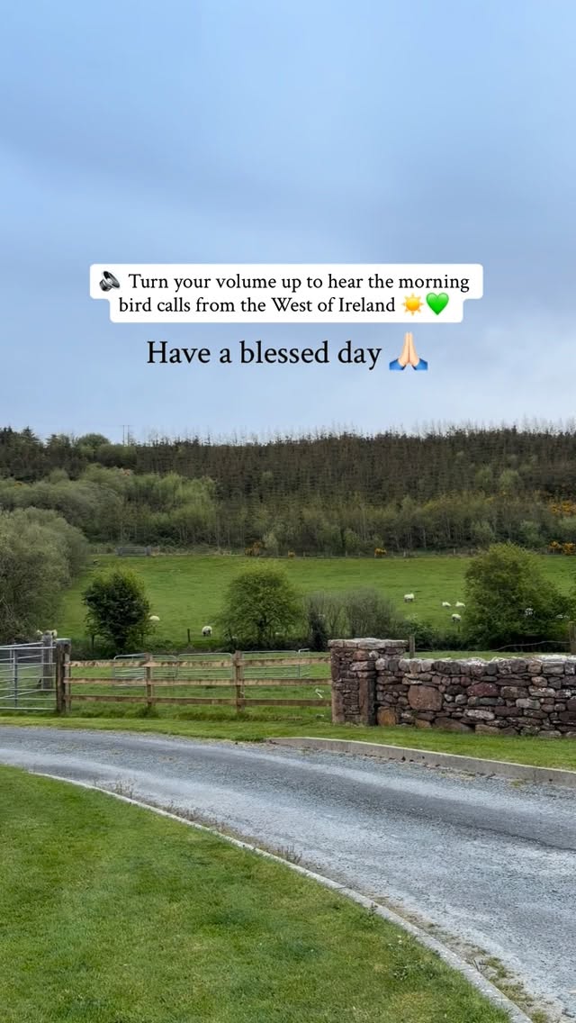 Do you recognise any of the bird calls? 💚
#morningblessings #birdcalls #discoverireland #irishblogger #birdlover