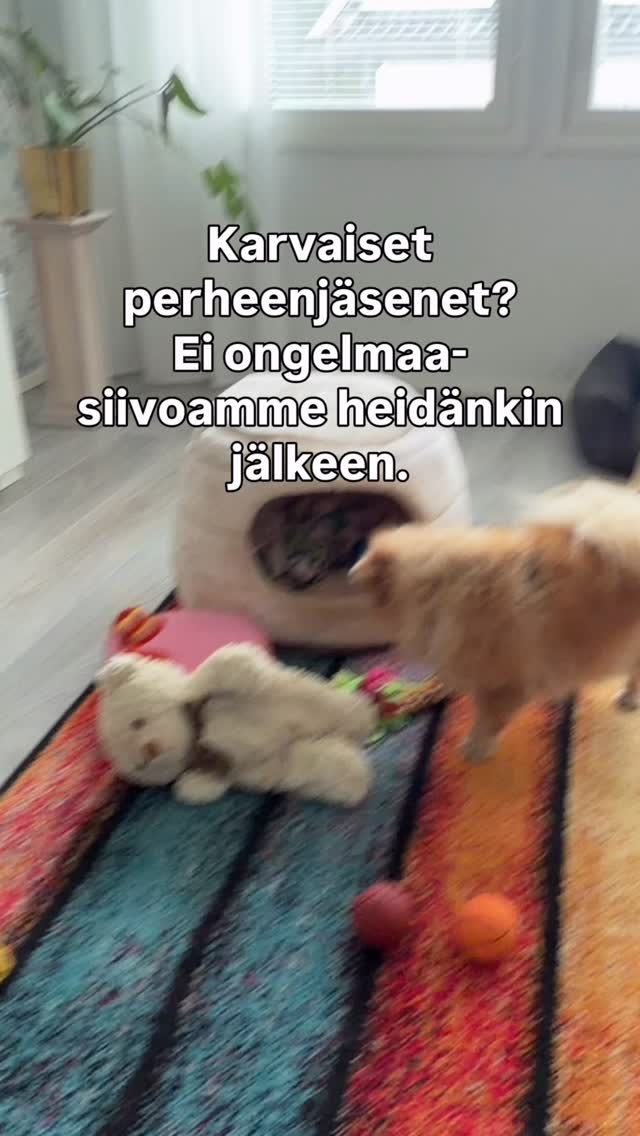 Karvaiset perheenjäsenet? 🐾
Ei ongelmaa – siivoamme heidänkin jälkeen.
Meille lemmikit ovat osa kotia, ja haluamme tehdä arjestasi helpompaa myös tassunjälkien, karvojen ja pienten sotkujen keskellä ✨
#siivouspalvelu #lemmikkiystävällinen #kotisiivous #puhdastakotia #eläinrakkaat