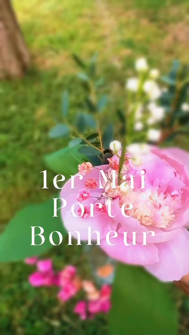 1er mai 🤍 Pluie de bonheur prévue pour aujourd’hui ! ☁️➡️🌸
Que ce petit brin de muguet te porte chance et parfume ta journée de douceur.
En ce 1er mai, je te souhaite tout le bonheur du monde et une année remplie de jolis projets.
Bonne fête du travail et surtout... profite bien de ton repos ! ☕️✨
#1ermai2026 #portebonheur #muguet #marseille #massagemarseille
