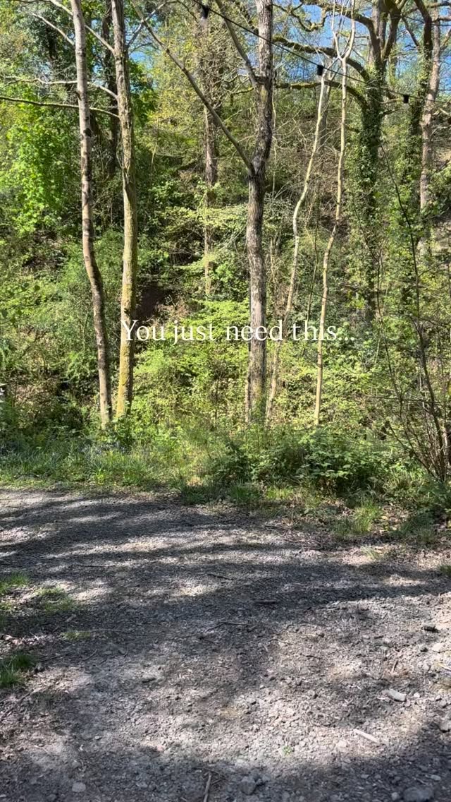 There’s a lot in life we ‘think’ we need. But let me tell you, getting outside, taking a walk, listening to the sounds and seeing the beauty of this natural wonderful creation is definitely something you do need!
Especially in this weather ☀️🥰
#midwales #naturalbeauty #countryside #trees #staycationuk
