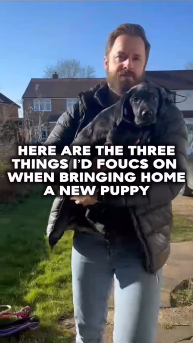 If I was bringing home a puppy (I’m working on convincing the wife)
The 3 things I’d focus on are
1. Hand feeding all meals and making them into training sessions
2. Taking them absolutely everywhere to experince new sounds, smells and places. But also giving them some time left alone at home in a crate so they get used to being left
3. Playing daily, building a bond, obedience and working on a breed specific outlet
If you need help training your dog pop us a dm
#chalfontstpeter #chalfontstgiles #gerrardscross #dogwalker🚶🏻♂️🦮💨 #dogtrainer