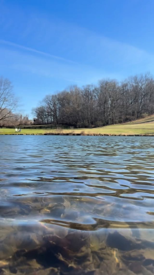 Our Mom’s Retreat in Manchester, MD is far from the daily hustle but only an hour drive from the comfort of home. Set on a farm and lake, this small group retreat is for mothers to reset and refill their cups. We have 3 spots let for this retreat, join the circle! This retreat is for anyone who identifies as a mother.
Mom’s Retreat | Manchester, MD
May 15 -17th (Friday through Sunday)
Learn more and sign up through our link in bio.
