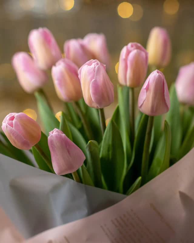 Smooth, refreshed, and just in time for Mother’s Day ☀️
Enjoy a special on Botox for appointments through May 15th. The perfect little refresh or gift for someone who deserves it.
🕐 Limited availability.
📍Shops at Merrick Park
🌴 Coral Gables, Florida
📞 (305)661-1996
#BotoxTreatment #BooxCoralGables #MothersDayGift #SeasonalPromo #BotoxInjectionsMiami