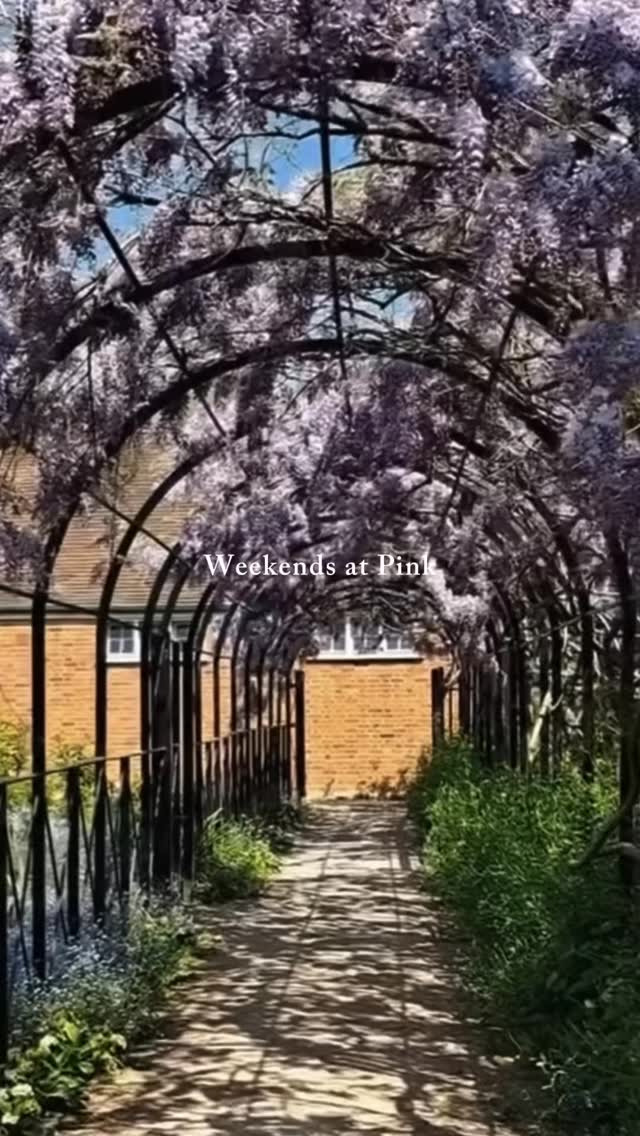 There’s something special about a weekend here.
Whether you’re watching the Egyptian geese and their (nearly fully grown!) babies @fortyhall or enjoying the gardens coming to life at @lauderdalehouse there’s always something to discover.
Find our peaceful cafes tucked away in some of North London’s most beautiful spots ✨
#northlondon #highgate #northlondonfood #enfield #londoncafe