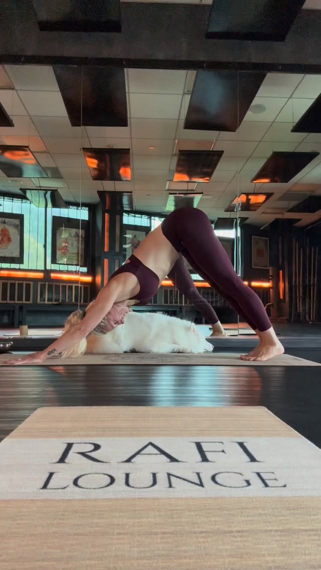 Injury and pain are your teachers!
My journey to yoga started with my hip being twisted in 3 different directions. I am grateful for this experience and how it molded me to who I am now. Because of it, I teach the Flow & Elevate style 💜
This isn’t just Hot Vinyasa.
This is where you meet yourself.
Injuries. Tension. Old patterns.
They’re not setbacks—they’re your teachers.
This is your calling to start healing.
Friday’s @rafilounge
9:30 AM
We slow it down to tune in.
To observe. To retrain. To rebuild strength from within.
Come ready to move differently.
Leave feeling like you understand your body for the first time.
#yogahealing #malibu