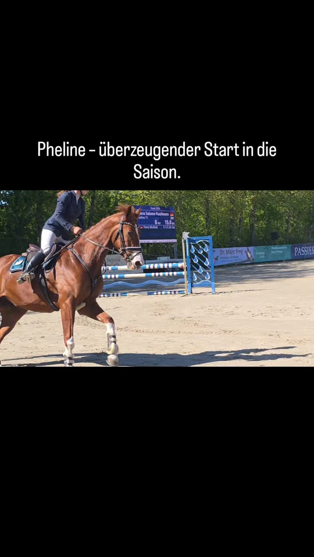 Erstes Turnier in diesem Jahr – direkt platziert.
Pheline zeigt sich motiviert, vorsichtig und mit viel Qualität am Sprung.
Ein spannendes Pferd für die weitere sportliche Entwicklung.
#horsesofinstagram
#equestrian
#instahorse
#springpferd