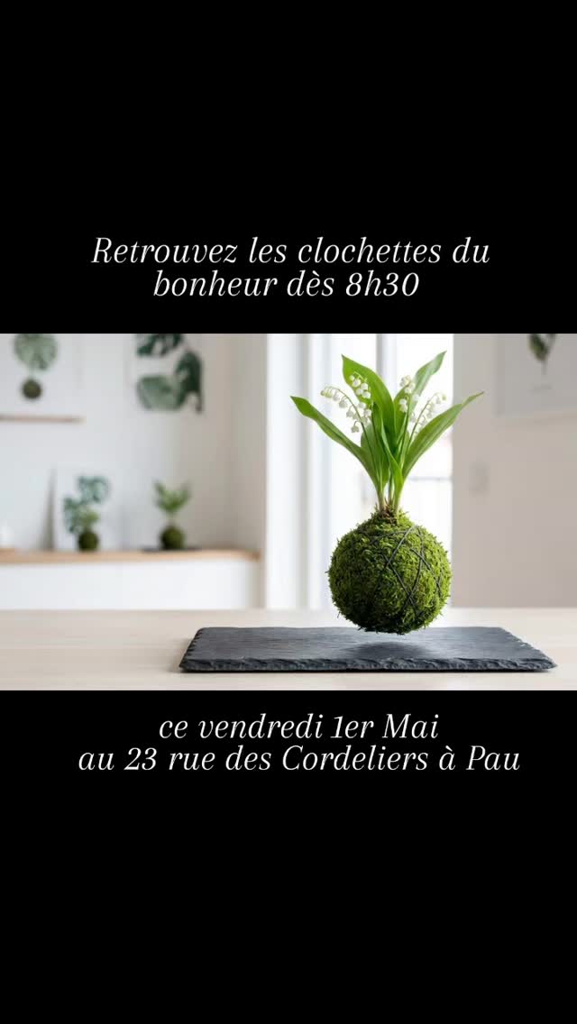 Ouverture de 8h30 à 12h00 ce Vendredi 1er Mai!
#orvegetal #artisanfleuriste #muguet #1ermai