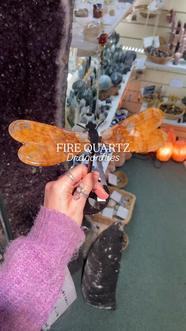 New statement pieces, Fire Quartz Dragonflies ✨🌌🌙
Dragonflies are thought to represent wisdom, strength and good fortune. Fire Quartz is associated with positive energy and motivation
For more information or to purchase give us a message or comment down below
.
.
.
#crystalshopuk #crystaldragonfly #crystalmagic