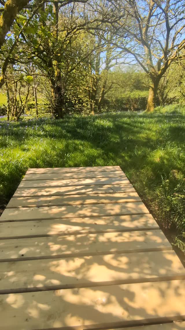 Spring has well and truly sprung in the guest garden ❤️😭😍 We have availability for this coming bank holiday weekend. Click on link in bio to book x
.
.
.
.
#dartmoorholidaycottage #dartmoornationalpark #cottageholidays #escapetothecottage #staycation