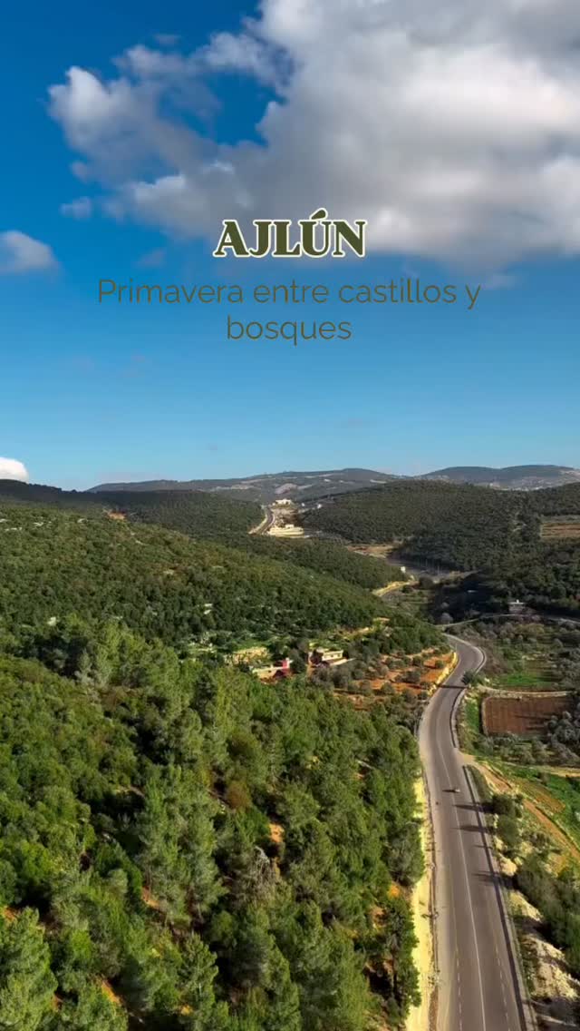 Descubre la magia de Ajlún en primavera. Bosques infinitos, aire puro y una paz que solo encuentras aquí🌲🌿☘️🌳
Discover the magic of Ajloun in spring. Endless forests, fresh air, and a peace you can only find here.🌿🌲☘️🌳
#jordan#jordania #fyp #travel #visitjordan