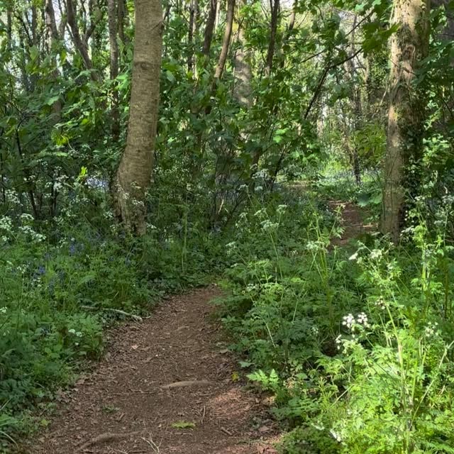 A moment of calm, let your shoulders drop and feel your body breathing with the sounds of nature
.
New prices are coming in June
1:1 £50 for 60 mins
10 class pass £85
Drop in £11 for 60 min class
.
#plymflowyoga #yoga #yogapractice #flowyoga #vinyasa #vinyasaflow #yogaclass #plymstock #plymouth #yealmpton #yealmptoncommunitycentre #brixtondevon #southhams #devon #yogaworkshop #yin #meditation