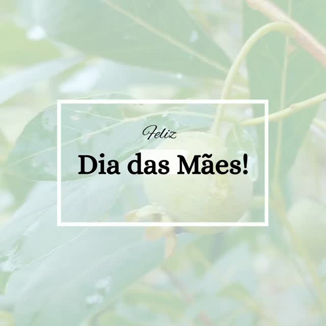 Neste Dia das Mães, o Projeto Guavira celebra todas as mulheres que cultivam, com doçura e afeto, o amor que faz florescer a vida. 🌸
Assim como a guavira, símbolo de força e delicadeza do Cerrado, cada mãe é raiz, flor e fruto — essência que nutre o mundo com cuidado e esperança. 🍃💛
Feliz Dia das Mães! Que o amor continue brotando em cada gesto e que a natureza do carinho esteja sempre presente em nossos corações. 💚
Venha fazer parte do Projeto Guavira! 🌿💚
🔗 Saiba mais em: www.projetoguavira.com
🔗 Guavira Conecte: www.guaviraconecte.projetoguavira.com
📷 Siga-nos no Instagram: @projetoguavira
🎵 Estamos também no TikTok: @projetoguavira
📘 Curta-nos no Facebook: /projetoguavira
🎬 Assista-nos no YouTube: @projetoguavira
#projetoguavira #guavira #diadasmāes