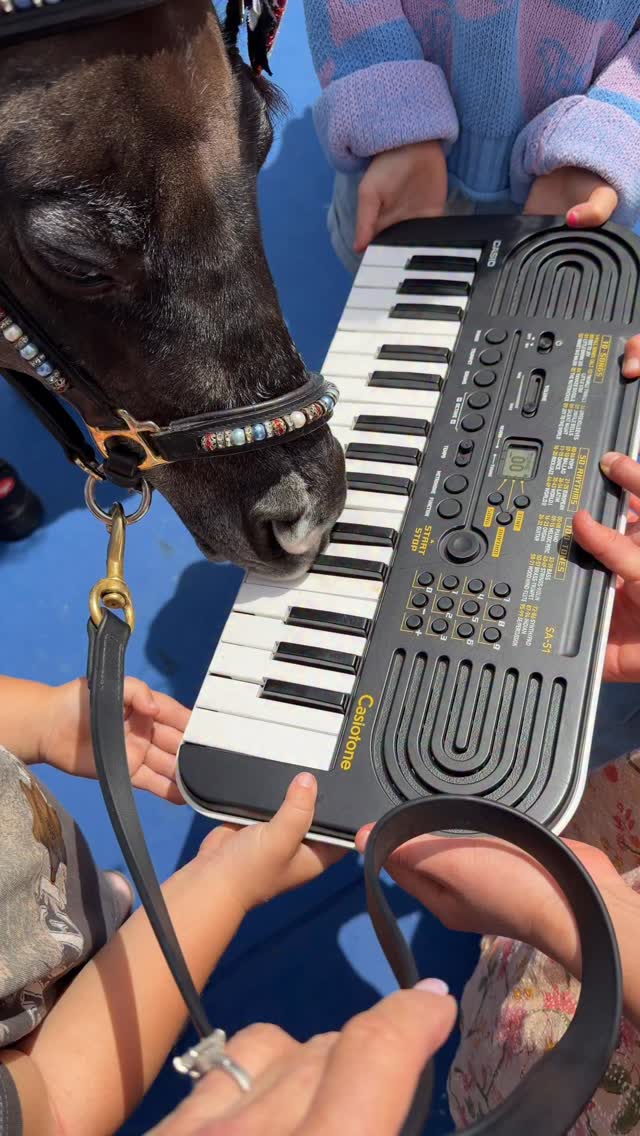 Holding the keyboard for Black Pearl and our other mini mares is always a huge hit with kids and adults. @platinumperformance @lasd_lhs @easycareinc @lasdhq #keyboard #minihorse #minitherapyhorses #happiness #joy #fun #community #comfort #love @casiomusicgear #keyboard