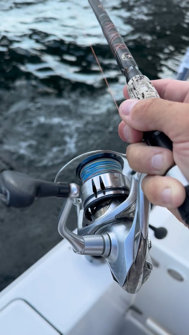It can be really hard to film and catch fish at the same time. If you guys only knew what was in my camera roll. Look at all these fish under the bridge!! Could have caught them on a banana.
#intern #30a #fishing #destin #fishingcharter