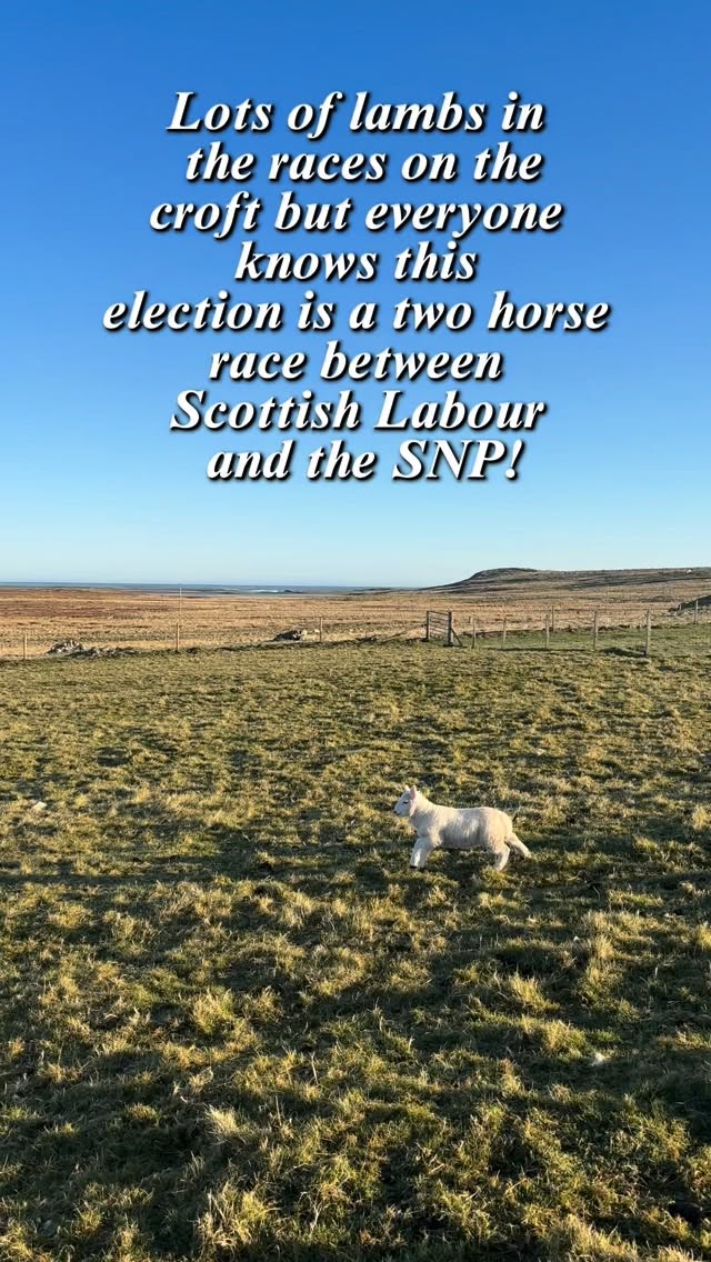 This election is a two horse race between @scottishlabour and the SNP! 🐑