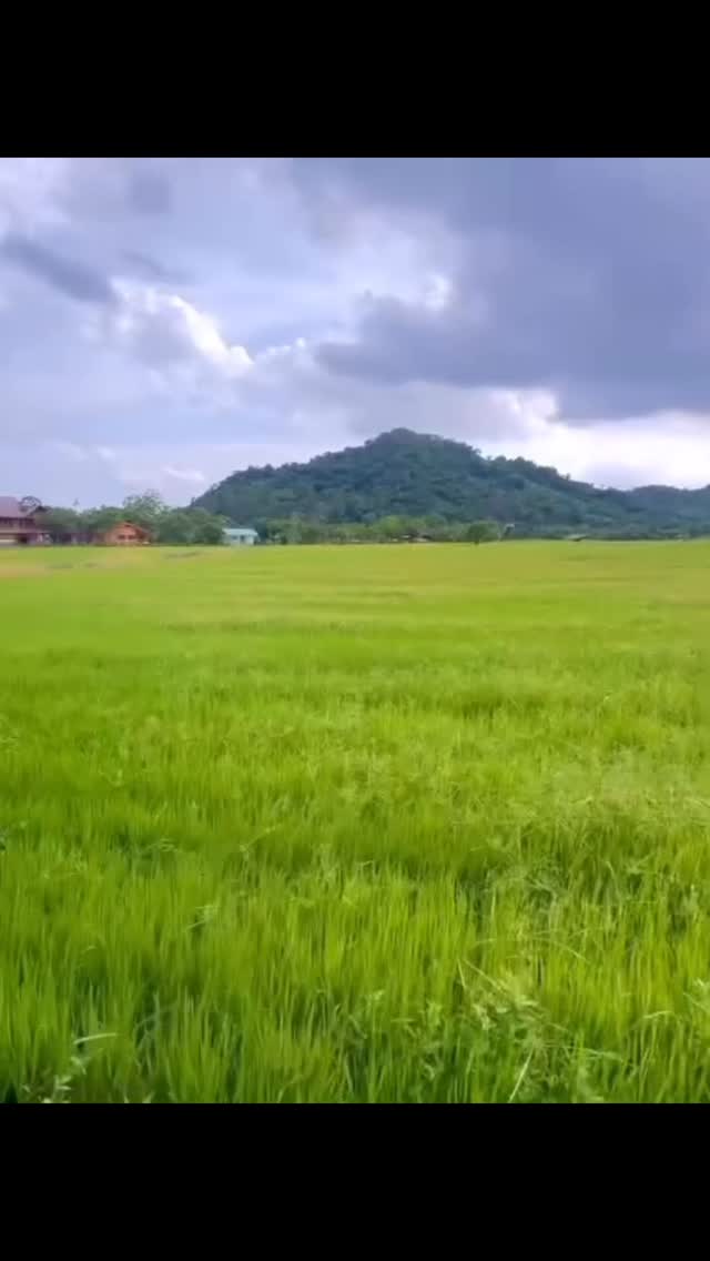 ด่วน‼️ เหลือเพียง 20 สิทธิ์สุดท้ายเท่านั้น
🌿 บางครั้ง…..เราไม่ได้ต้องการไปไกล
แค่ต้องการ “ที่พักใจดี ๆ”
ตื่นเช้ามาเจอวิวทุ่งนา ภูเขา จากบนเตียง
แช่อ่างเงียบ ๆ ฟังเสียงลมเบา ๆ ให้ผ่อนคลาย
เดินทางแค่ 1 ชม จากกรุงเทพก็ถึง
แต่เหมือนได้พักสมองไปหลายวันเลยนะคะ ☁️💚
✨ โปรโมชั่นจองห้องพักล่วงหน้า
Cozy Jacuzzi Room
🎯 จองล่วงหน้า วันนี้!! เพียง 1,990 บาท
(จากราคาปกติ 2800฿-3800฿)
Cozy Cottage Room
🎯 จองล่วงหน้า วันนี้!! เพียง 1,590 บาท
(จากราคาปกติ 2000฿-3000฿)
——————-💕
📩 ด่วน!! เพียงทักหาแอดมินแจ้งโค้ด “FLORA” เพื่อรับสิทธิ์
📅 สามารถใช้ได้ภายใน 6 เดือน หลังจากที่จองสิทธิ์
❗เหลือเพียง 20 สิทธิ์สุดท้ายเท่านั้น ❗
สนใจสำรองห้องพักสอบถามเพิ่มเติมได้ที่ 👇👇
🆔 Line : @lervadeflora
📩 Inbox : https://m.facebook.com/messages/t/lervadeflora
🏠 เช็คราคา สำรองที่พัก: www.lervadeflora.com
📱 โทร : 061-836-8888
📍GPS : https://goo.gl/maps/fmUZuRNjXMHEtsoY9
#นครนายก #ที่พักนครนายก #เลอวาเดอฟลอร่า #ที่พักวิวภูเขาทุ่งนา #ที่พักราคาไม่แรง