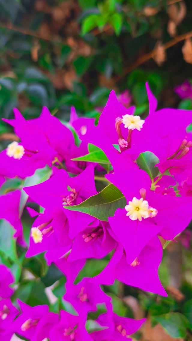 “I love this place.”
Come see why.