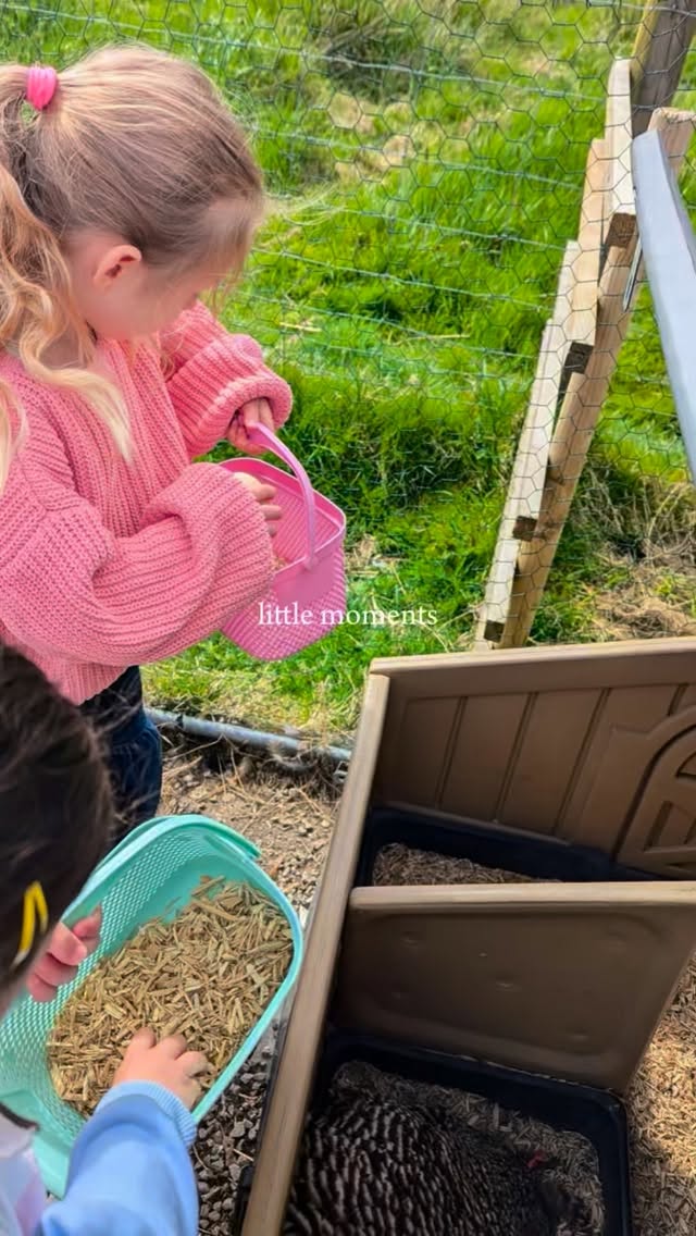 A slower kind of childhood morning — feeding animals, collecting eggs, planting seeds and learning where life on the farm really begins.
Our Little Farmer Experience is all about fresh air, confidence, curiosity and connection with nature.
Perfect for children who love animals, being outdoors and getting stuck in.
📍Cartmel
🐓 Small group farm sessions
🌱 Seasonal activities
🦙 Meet the animals
Message to book or find out more. #cartmel #lakedistrict #thingstodowithkids #farmlife
