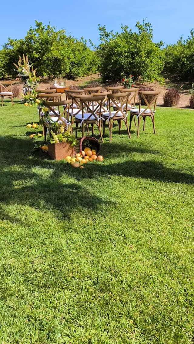 EN.Citrus mood captures all the enviromment flow.
PT. Quando o tema são citrinos... a excelente combinação com a envolvência local.
Wedding Planner & Designer @mcl__events
Venue @casamanorpedrasdecima
Photographer @melanieheuze_photographie
Videographer @arnaud_m_vision
Floral Designer @bydoraflowers
DJ @dj_paulo_machado_
Bride's Makeup Artist @barbaramakeupalgarve
Hair Stylist @polina.hair.pt
#weddingmood #weddingsabroad #algarveweddings #weddingdecor #casamentoalgarve