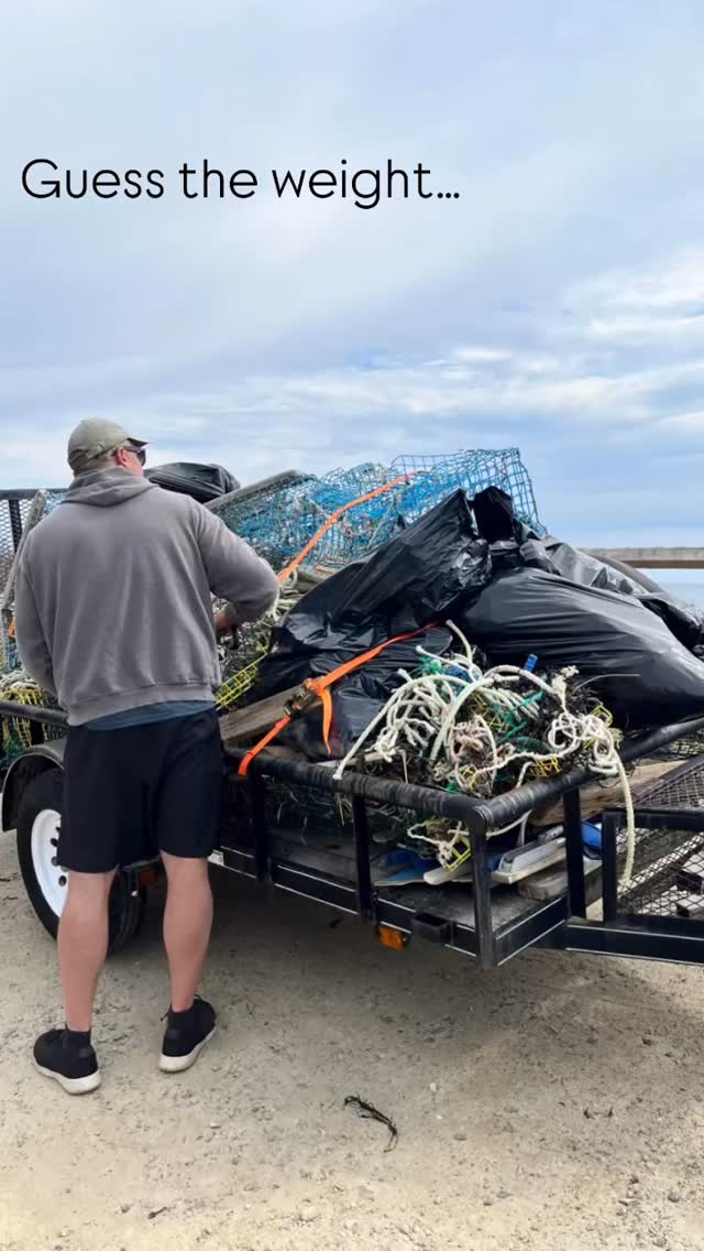 How many pounds of trash came off our beach?