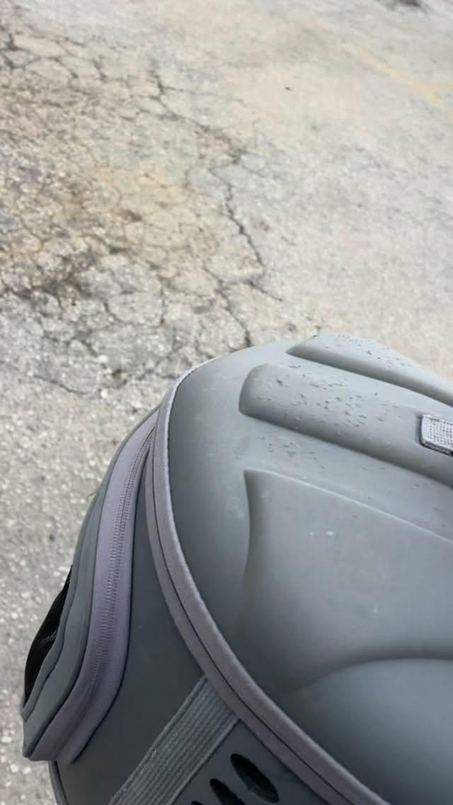 Oro is thuis! 💛
Ondanks dat ik vanmorgen al een afspraak had om haar op te halen, werd ik onderweg toch nog gebeld door de kliniek…
Mijn hart sloeg weer over.
Maar toen ik opnam, werd er alleen gevraagd of ik haar wel echt snel kwam halen.
“Ik ben onderweg, nog 30 minuten,” zei ik.
“Gelukkig,” kreeg ik terug, “want ze wil écht naar huis. Ze is zo onrustig en blijft maar miauwen…”
En ja… dat klopte.
Toen ik binnenkwam en even moest wachten bij de opname, hoorde ik haar al. Zo hard… zo duidelijk. Ze liet zich horen. Ze wilde weg daar.
Toen ze eenmaal bij me was, wilde ze alleen maar contact. Alleen maar dichtbij zijn.
Maar ja… tijdens het rijden gaat dat niet echt 😅
Dus ook in de auto heeft ze het nog een uur lang luid laten weten 😉
En toen…
Eenmaal thuis, in haar eigen tentje, bij haar broertjes en zusjes…
was het stil.
Geen miauwtje meer.
Ze miste ze zó erg… 💔
Na een korte, uitbundige begroeting , knuffelen, spelen, weer samen zijn , heeft ze zelf een klein hapje gegeten
en daarna viel ze als een blok in slaap in de armpjes van haar broertjes die haar niet meer loslaten.
Ze is nog moe. Logisch… na alles wat ze heeft moeten doorstaan.
Ze moet nu echt bijkomen.
Maar…
Ze is thuis.
Ons Oro’tje is thuis!! 💛
En dit… dit is ook dankzij jullie.
Jullie steun, jullie berichtjes, jullie kaarsjes, jullie donaties…
Jullie hebben ons erdoorheen gedragen op de momenten dat ik het zelf eigenlijk niet meer kon.
Ik ben jullie zó dankbaar… echt vanuit het diepst van mijn hart.
We zijn er nog niet, maar dit… dit is hoop.
En die hoop hebben jullie mede mogelijk gemaakt ♥️