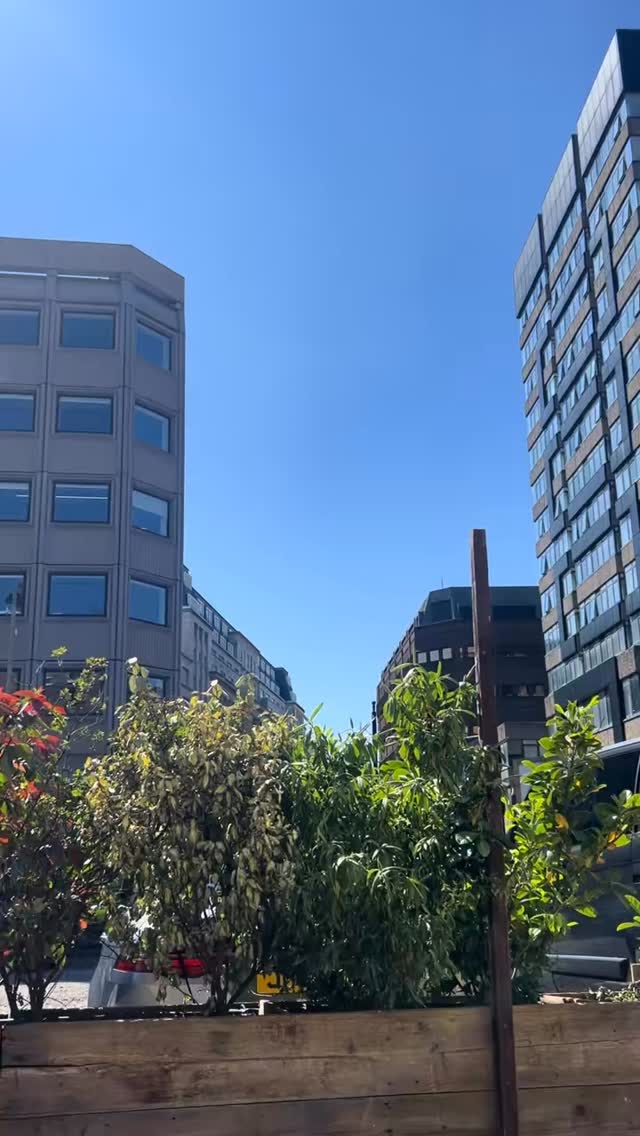 The perfect day does exist here at the railway! ☀️🍺
Get down quick to grab a table in our sun trapped beer garden!
#therailway #liverpool #pub #localpub #beergarden🍻