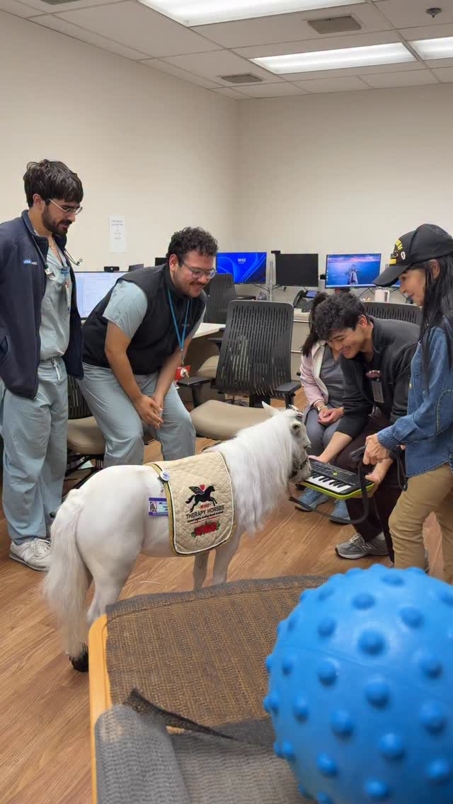 Our visit with the doctors in the Geriatrics Unit always brings lots of joy and a few minutes to decompress. Valentina Blue has turned into quite the enthusiastic keyboard player. 🎹💗🦄 #geriatrics #medical #hospital @greaterlosangelesva @ucla_pac @cedarssinai @shrinerssocal #horse #minitherapyhorses #wellness #comfort #community #compassion #kindness #healing #destress #doctors #hospital #happiness