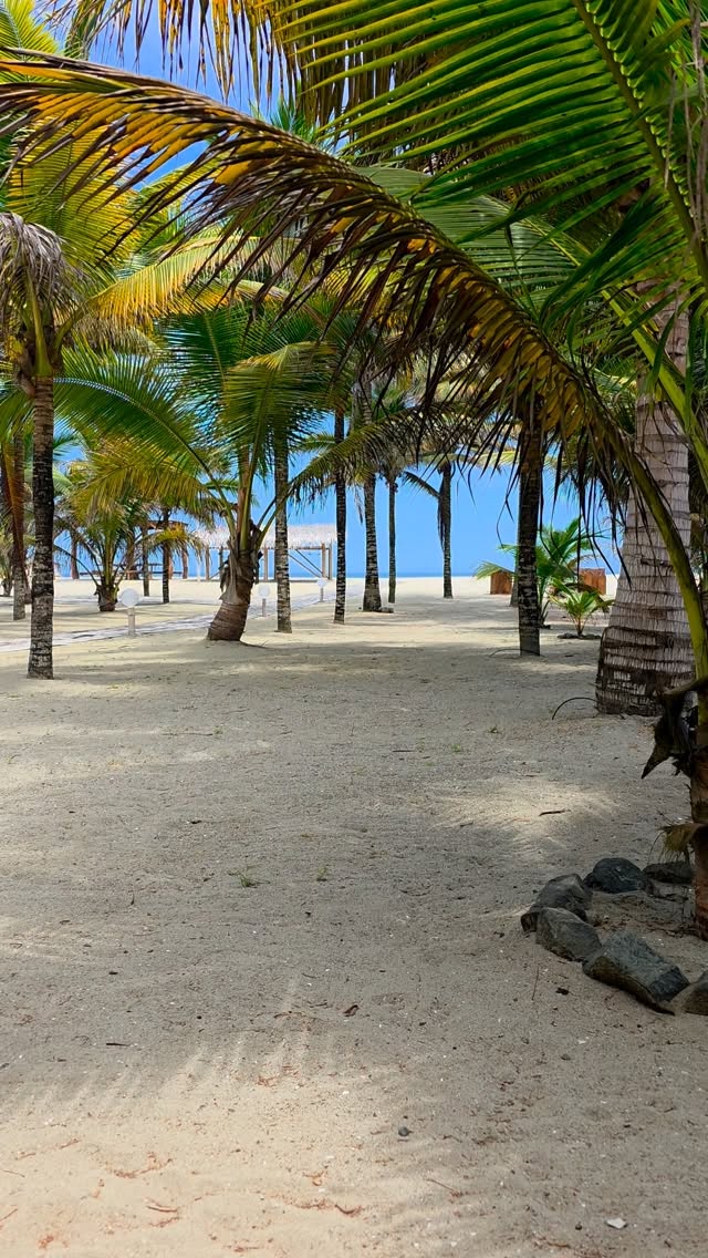 Q: “How close is the beach?"
A: Yes.