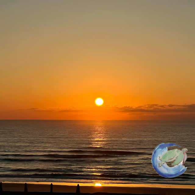 There’s something about a sunrise that resets everything.
No matter what yesterday held…
the worry, the tension, the moments you wish you handled differently…
the sun still rises.
Quiet. Steady. Unconditional.
It doesn’t ask if you’re ready.
It doesn’t wait for you to have it all figured out.
It simply shows up.
That alone is a reminder:
you get another chance today.
Another moment to pause.
Another opportunity to respond instead of react.
Another step toward becoming the parent, the person, you’re working to be.
Gratitude doesn’t come from everything going right.
It comes from noticing what’s still here, even when things feel hard.
This morning, take it in.
The light. The stillness. The possibility.
That’s the miracle.
#gratitude #sunrise #newday #parentingjourney #equanimityparentcoaching