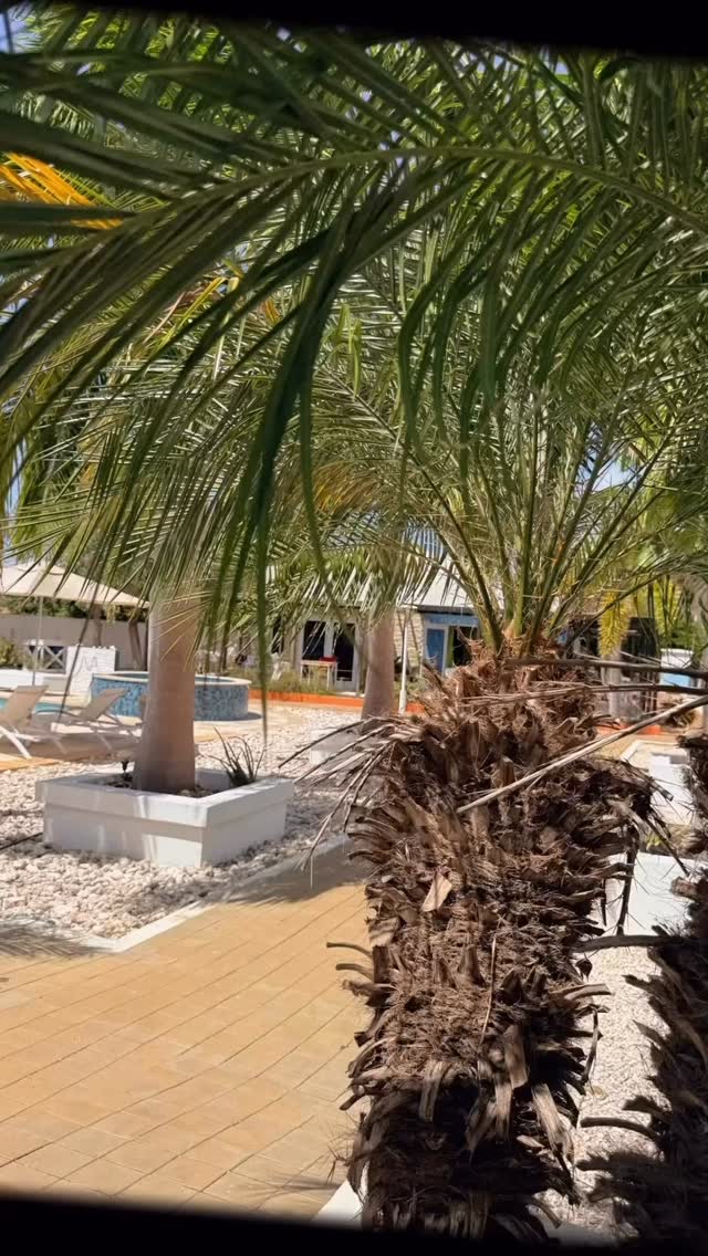 #malika apartments curacao #curacao🇨🇼 #playakalki #westpuntcuracao